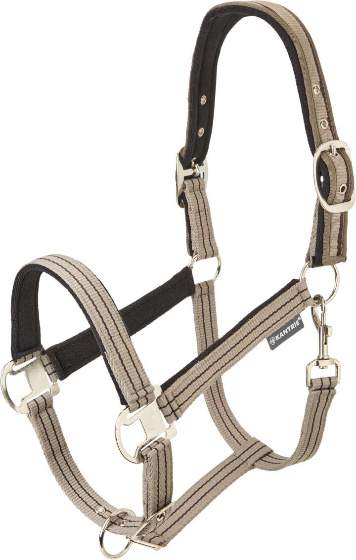 KANTRIE Halfter Active